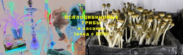 спиды Алексин
