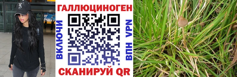 Галлюциногенные грибы мицелий  Каменск-Уральский 